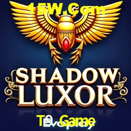 Descubra o Programa VIP da T9 Game: Vantagens Exclusivas para Jogadores